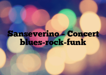 Sanseverino – Concert blues-rock-funk