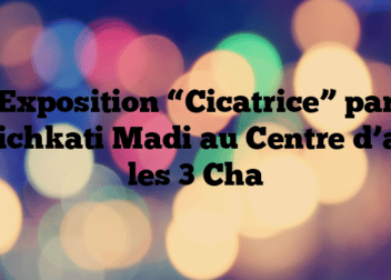 Exposition “Cicatrice” par Michkati Madi au Centre d’art les 3 Cha