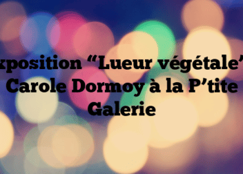Exposition “Lueur végétale” – Carole Dormoy à la P’tite Galerie